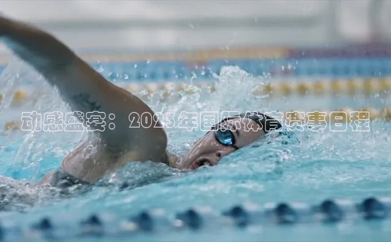动感盛宴：2023年国际体育赛事日程
