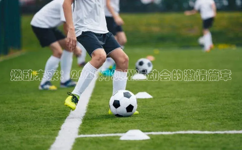 燃动未来：2026阿坝州运动会的激情篇章