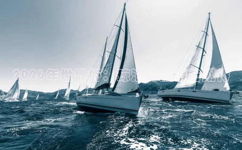 2026年世界杯：琼海的激情与期待
